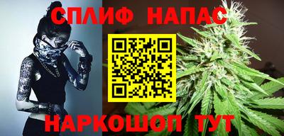 стаф Донецк
