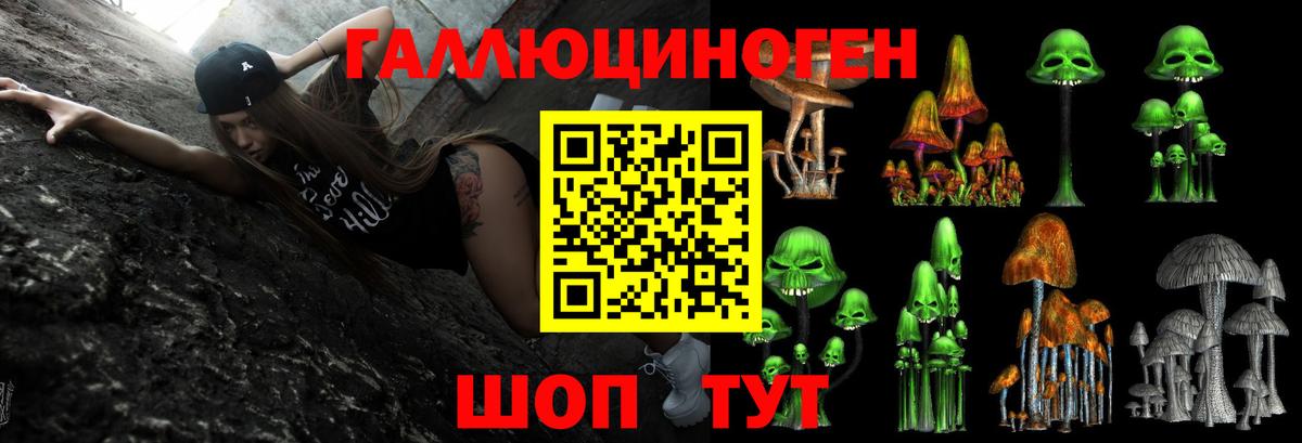 Галлюциногенные грибы Psilocybe  Вход с VPN  Учалы 